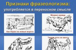 Фразеологизмы, существующие только в русском языке